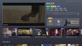 2018午夜视频国产在线,盘点年度热门影视作品